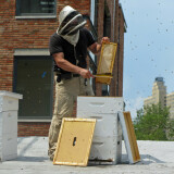 Andrew working on a hive.