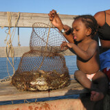 Checking out crabs.