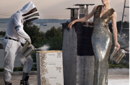 David Selig’s girlfriend Cecilia Dean posing for Harper’s Bazaar with the bees on the roof.